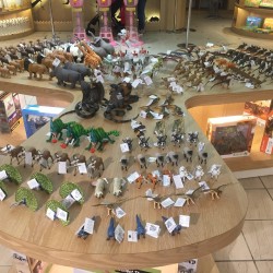 Shishang Discovery-Biodiversity Store