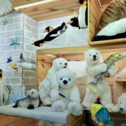 Science Shop - Taipei Zoo Branch