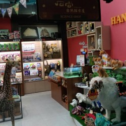 Shishang Discovery - Kejiao Store