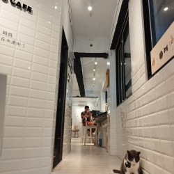 枠影珈琲