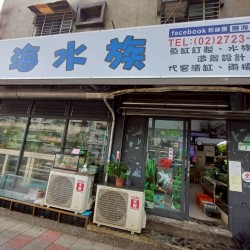 賜海水族（民權店）