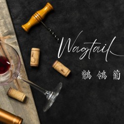 Wagtail Wine Cellar