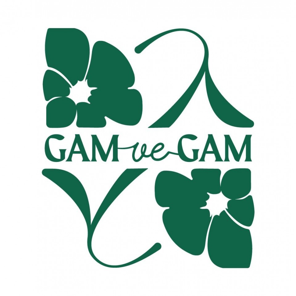 Gam ve Gam