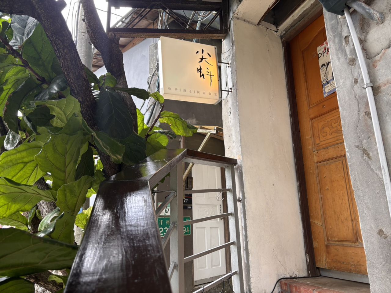 尖蚪