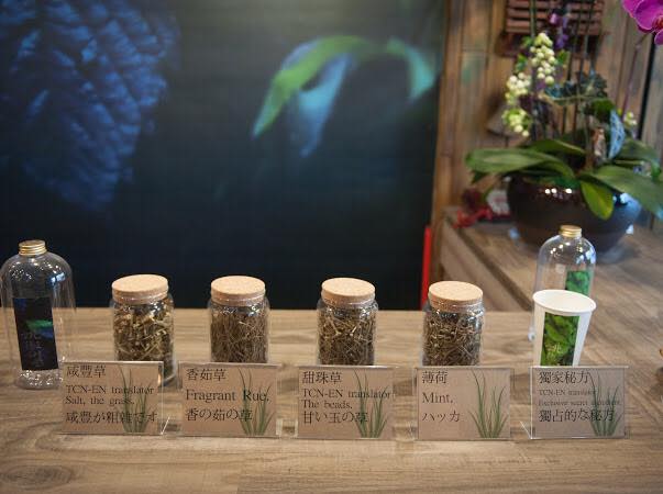 姚德和青草號
