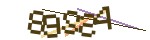 認證碼圖片